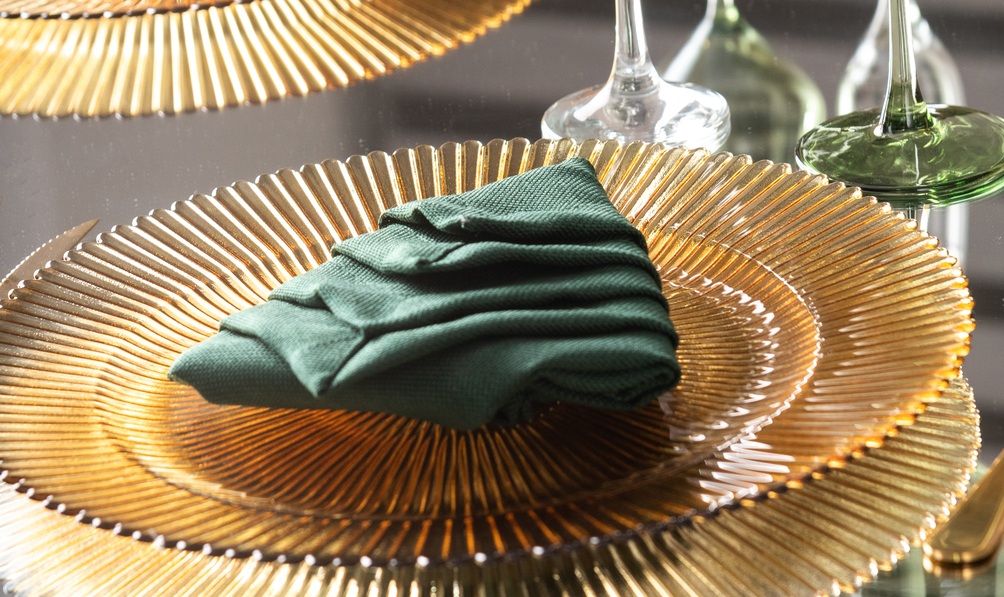 Plato presentación 8